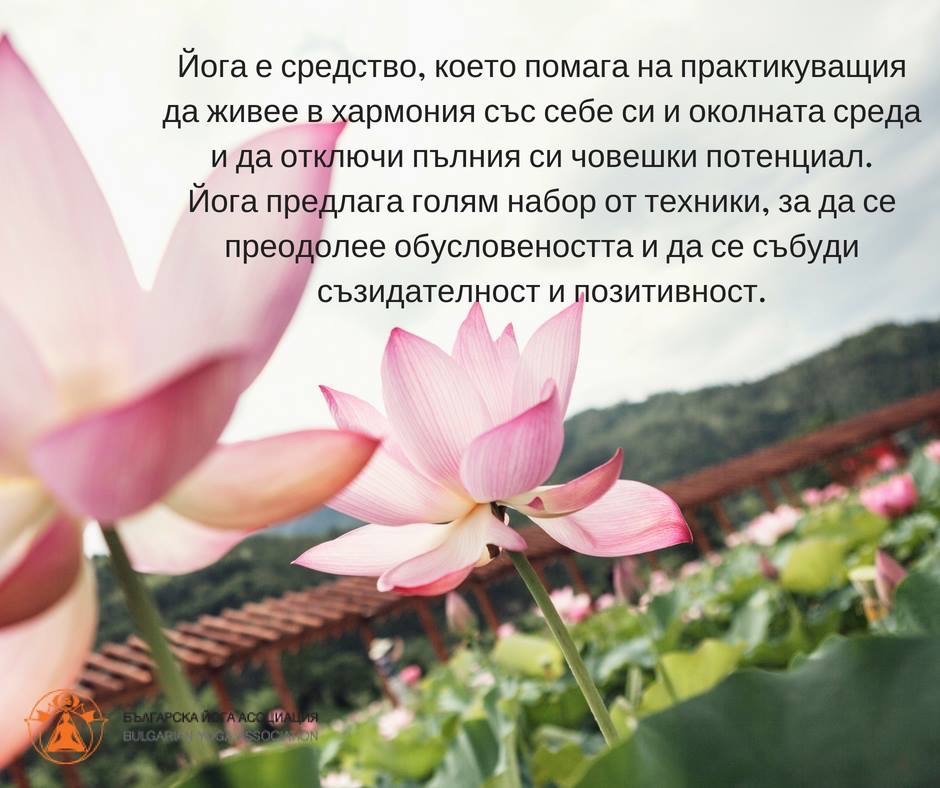 Йога за начинаещи - живей с радост